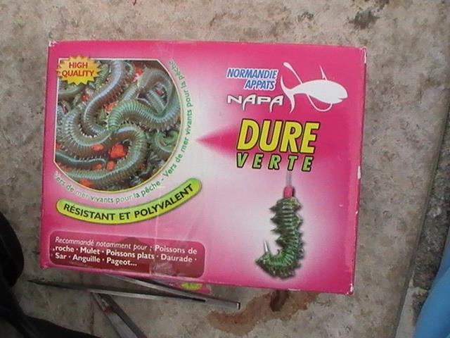 incep sa apara pesti din franta - 2013-08-14-170904-2.jpg